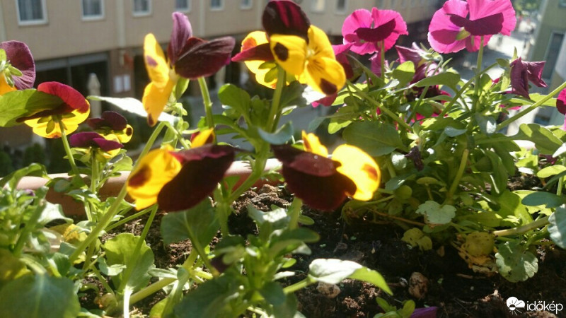 Budapest VIII.ker - Józsefváros