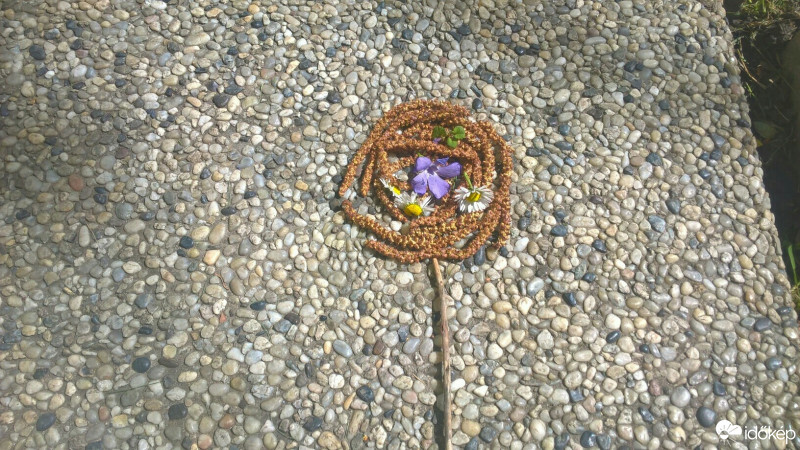 Budapest VIII.ker - Józsefváros