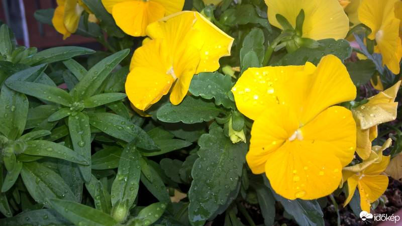 Budapest IX.ker - Ferencváros