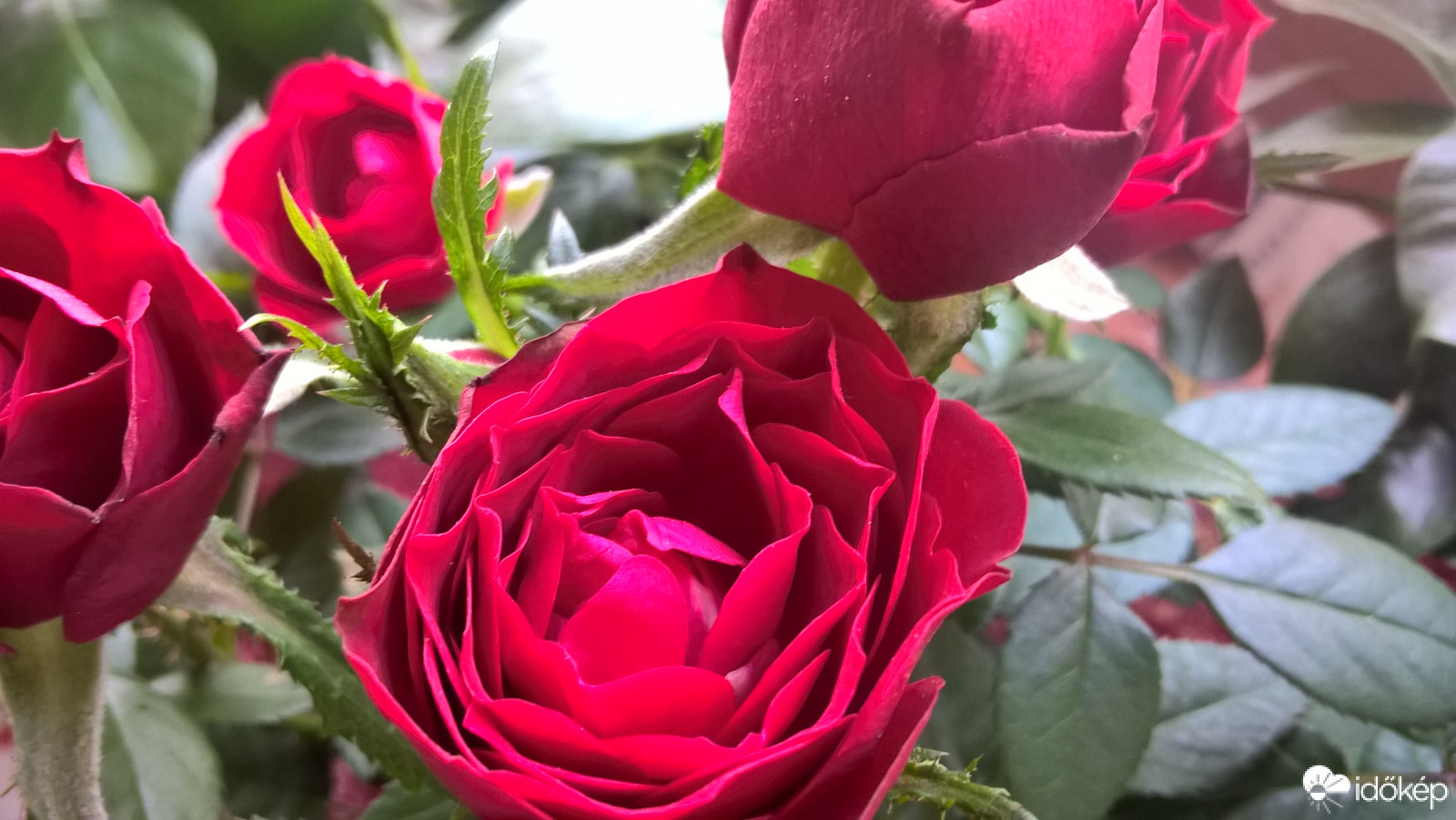 Budapest IX.ker - Ferencváros