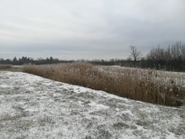 Hó borította be Mezőberényt