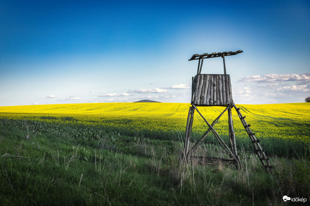 Repcemező és a vadászles