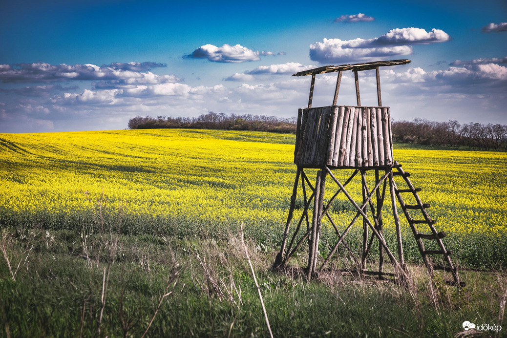 Repcemező és a vadászles