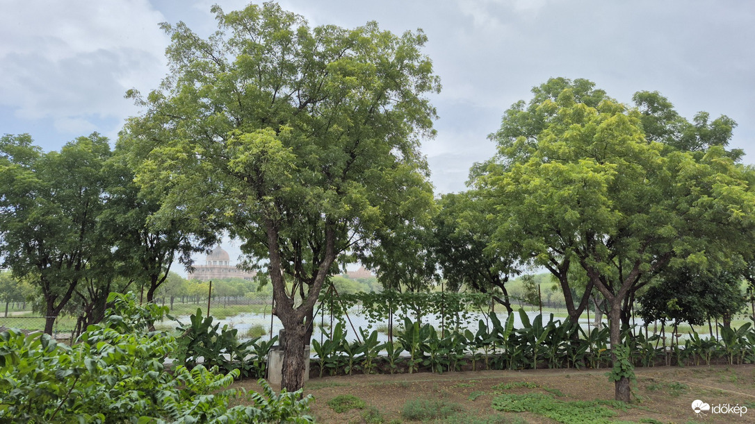 Surayata