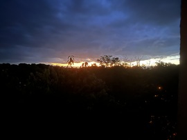 Naplemente