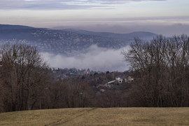 mikloslaszlo fotója