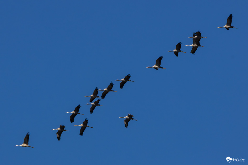 mikloslaszlo fotója