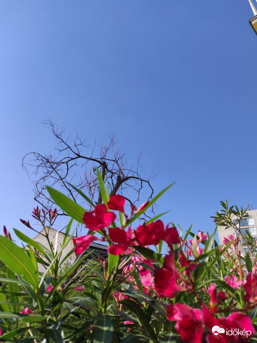 Budapest XIV.ker - Alsórákos