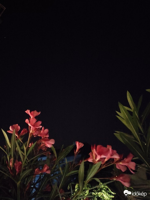 Budapest XIV.ker - Alsórákos