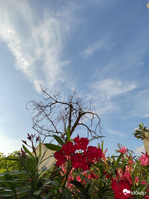 Budapest XIV.ker - Alsórákos