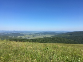 milanshtets fotója