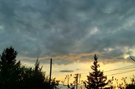 Sarkad