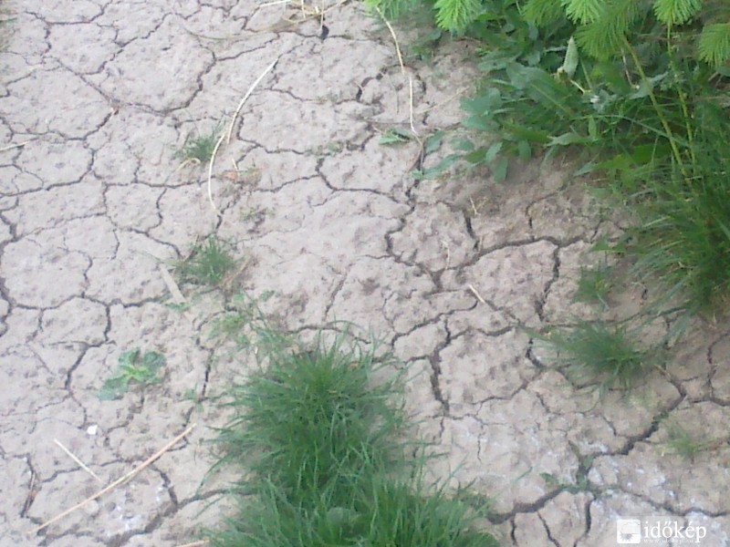 Sarkad 2013.05.07