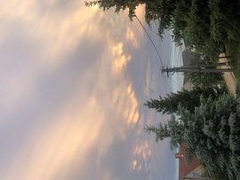 Borzavár