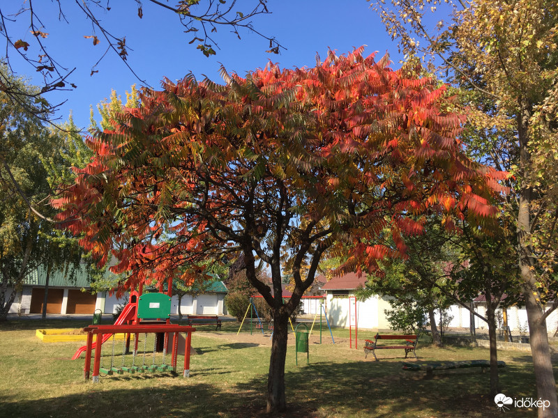 Őszi színkavalkád