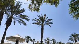 Paphos