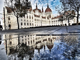 Reflection