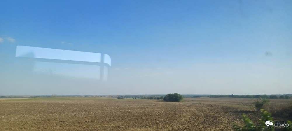 Füle