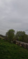 Debrecen