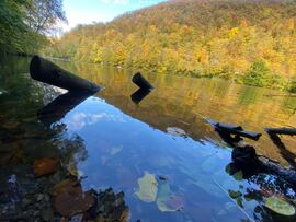 Miskolc
