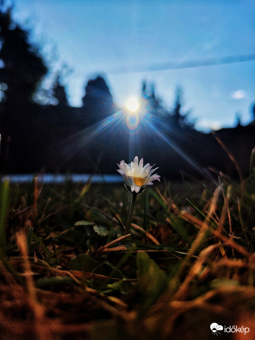 A legszebb ajándék 