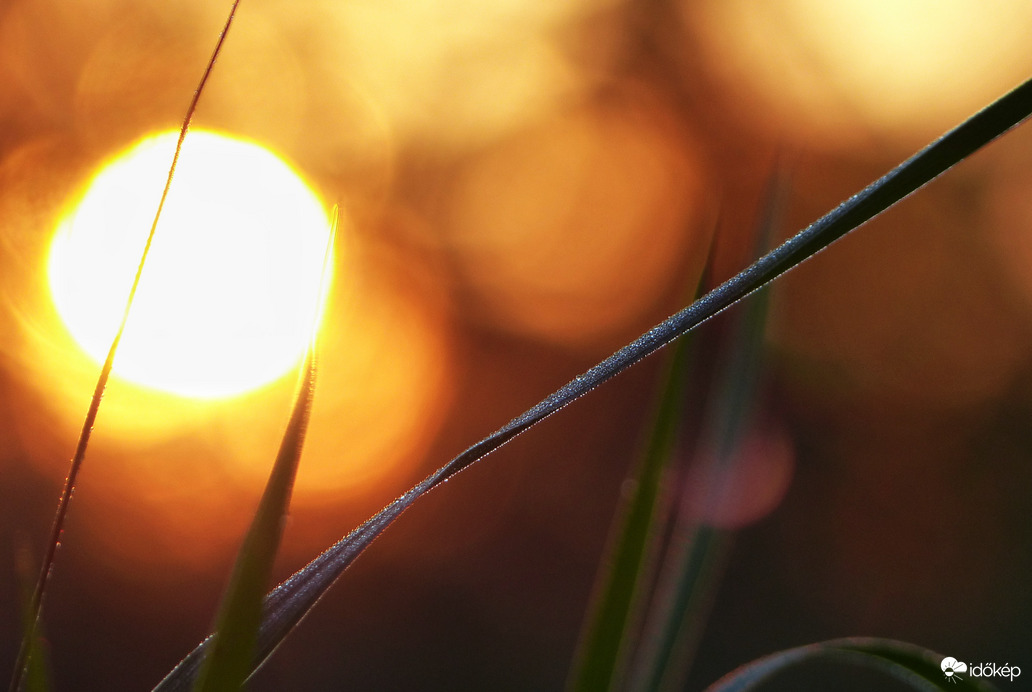 Harmatos őszi reggel 