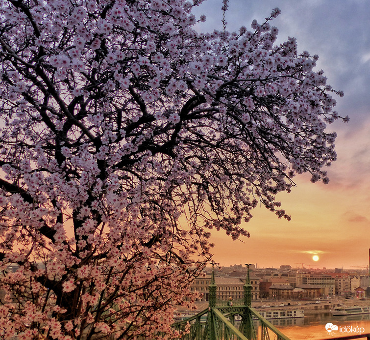 Napkelte a Kelen-hegyen