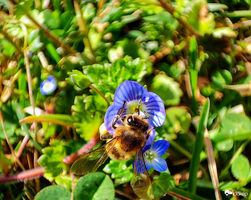 Gyönyörű idő van