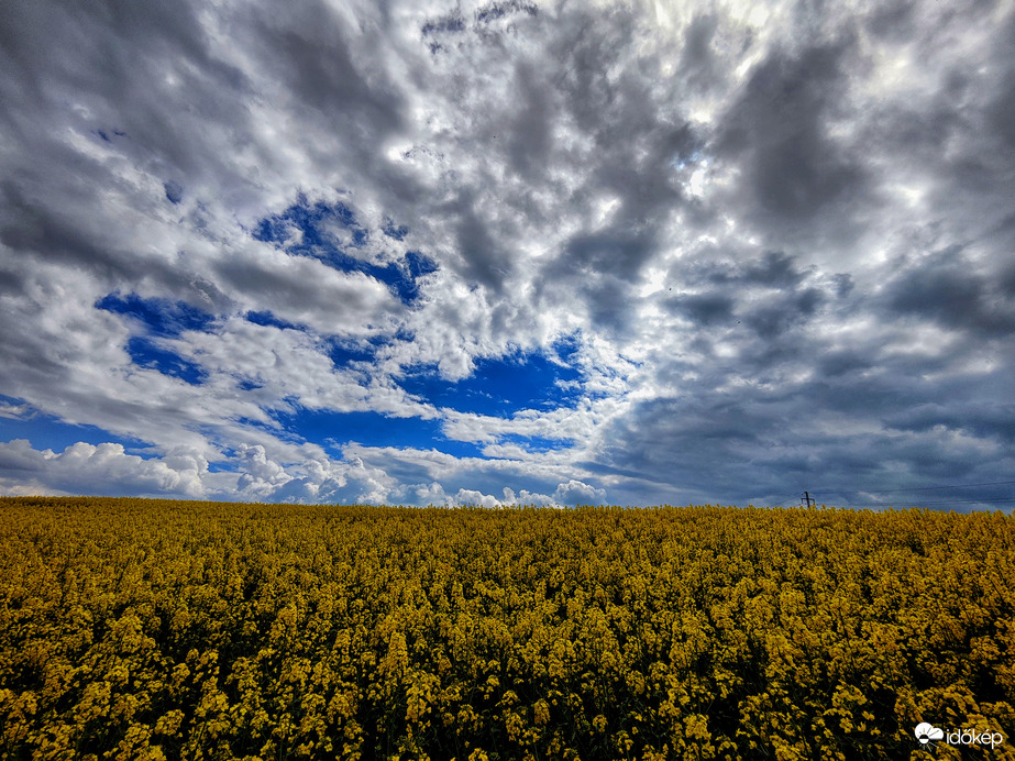 Felhőcsodák és repcevirágzás
