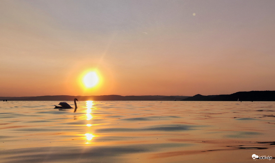 Legszebb látvány lubickolás közben 