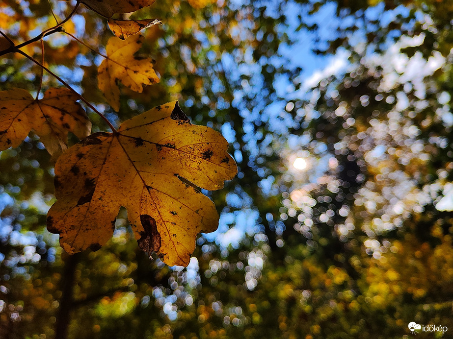 Szülinapi túra 