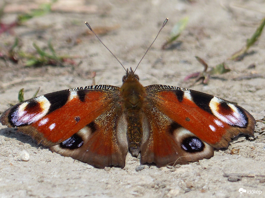 Végre jó idő volt ma 