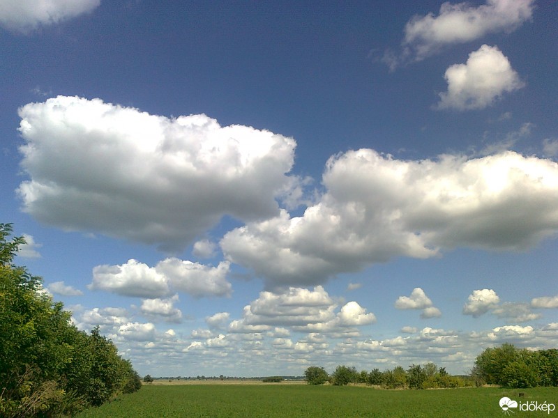 Homokmégy