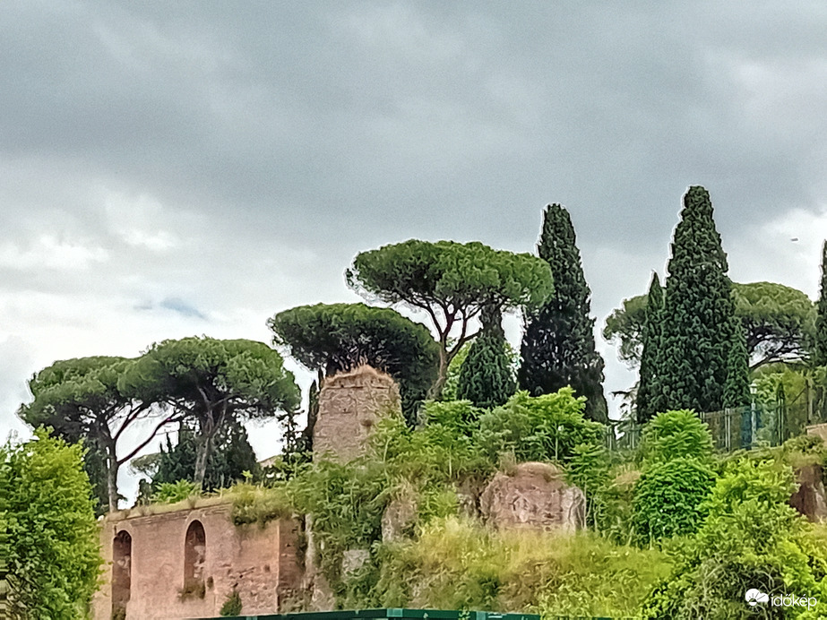 Róma 