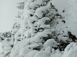 Magas-Tátra Murowaniec ma.