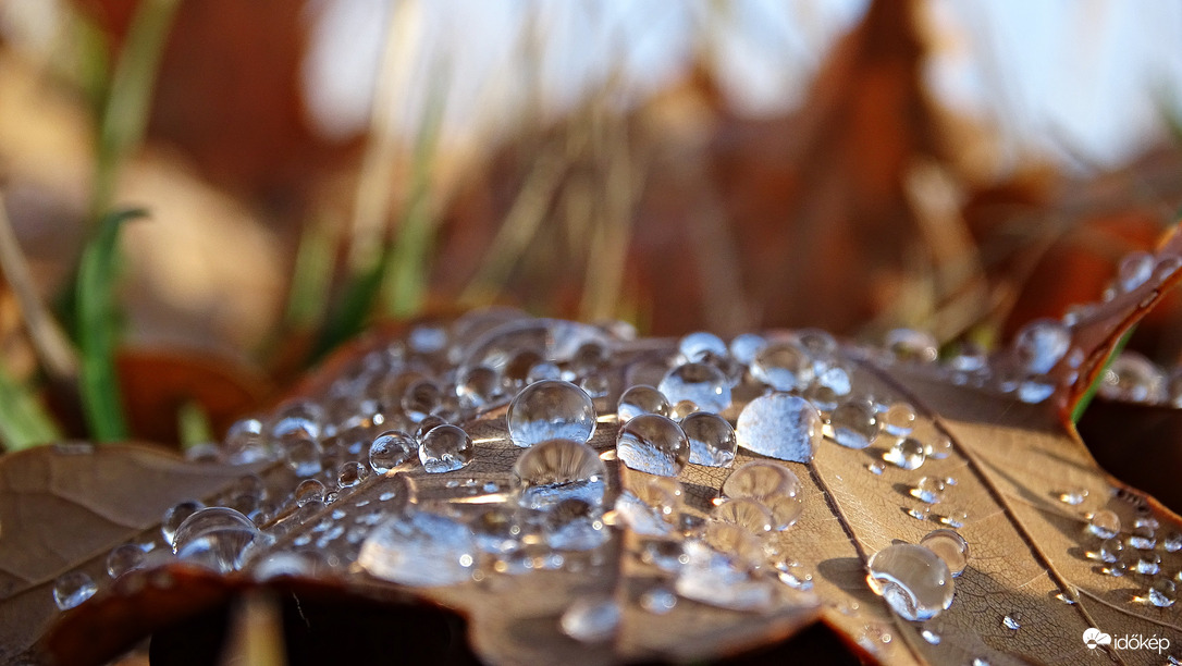 Délutánra kisütött a Nap!