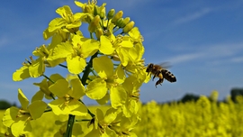 Munkában