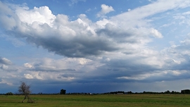 Homokmégy