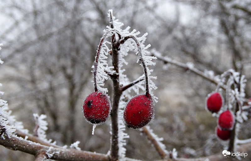 Díszes fülbevalók