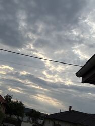 Levél