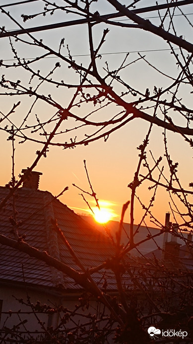 Szűcsi