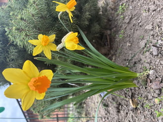 Borús időben is szépek