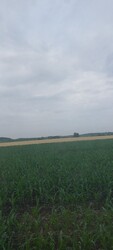 Kisgyócs