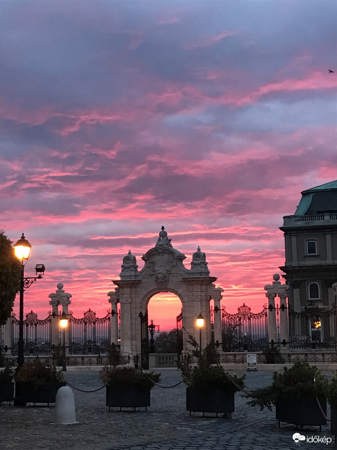 Reggel -Rózsaszínben 