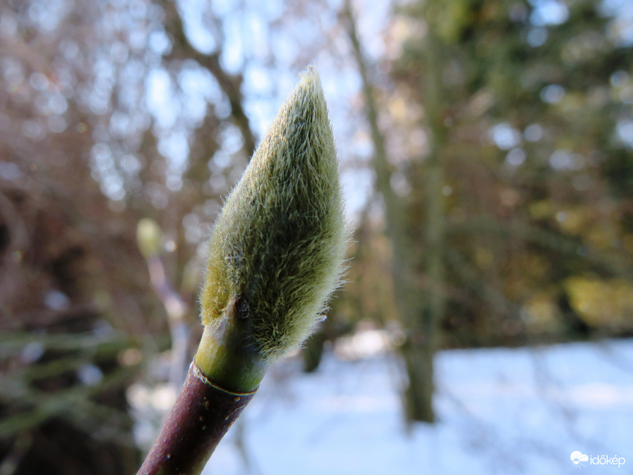 Bundában, tavaszra várva!