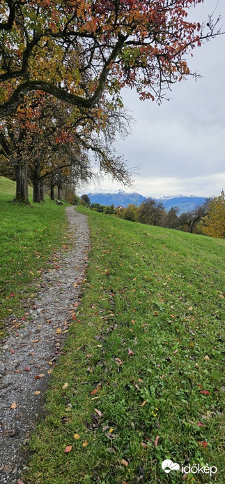 Feldkirch