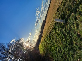 Felhők 