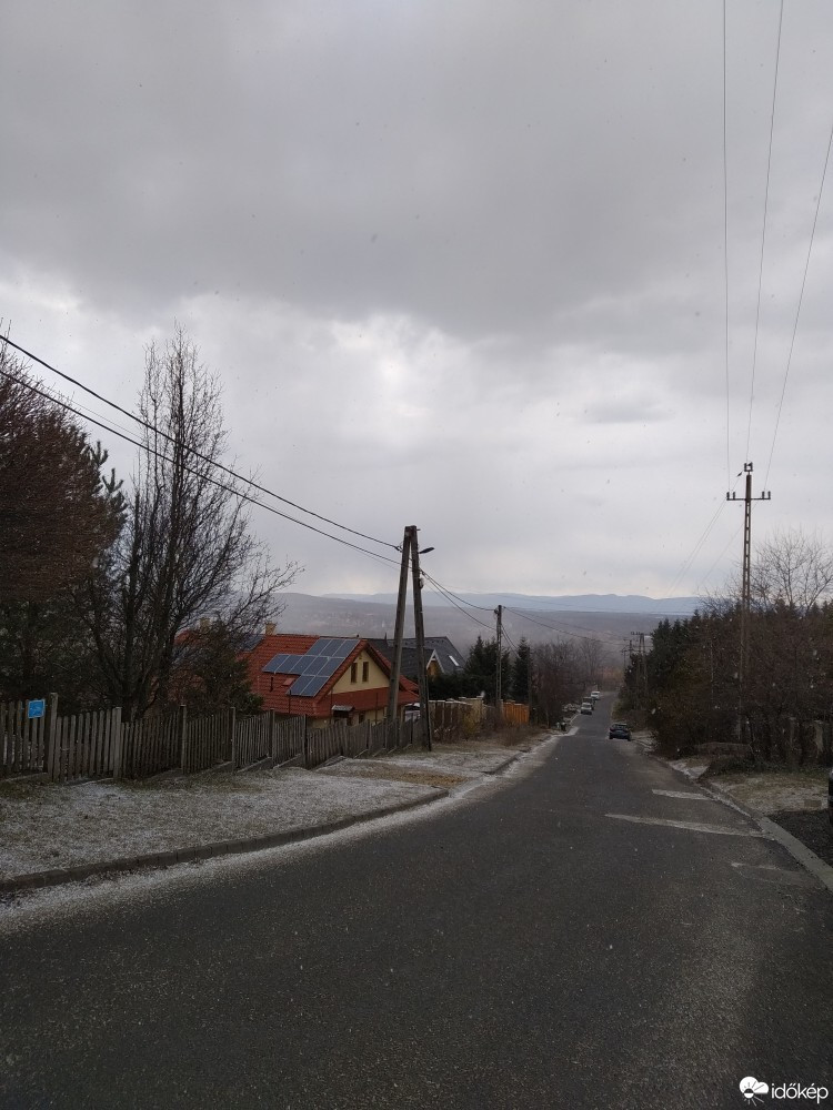 Erdőkertes