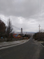 Erdőkertes