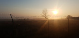 Tiszaföldvár